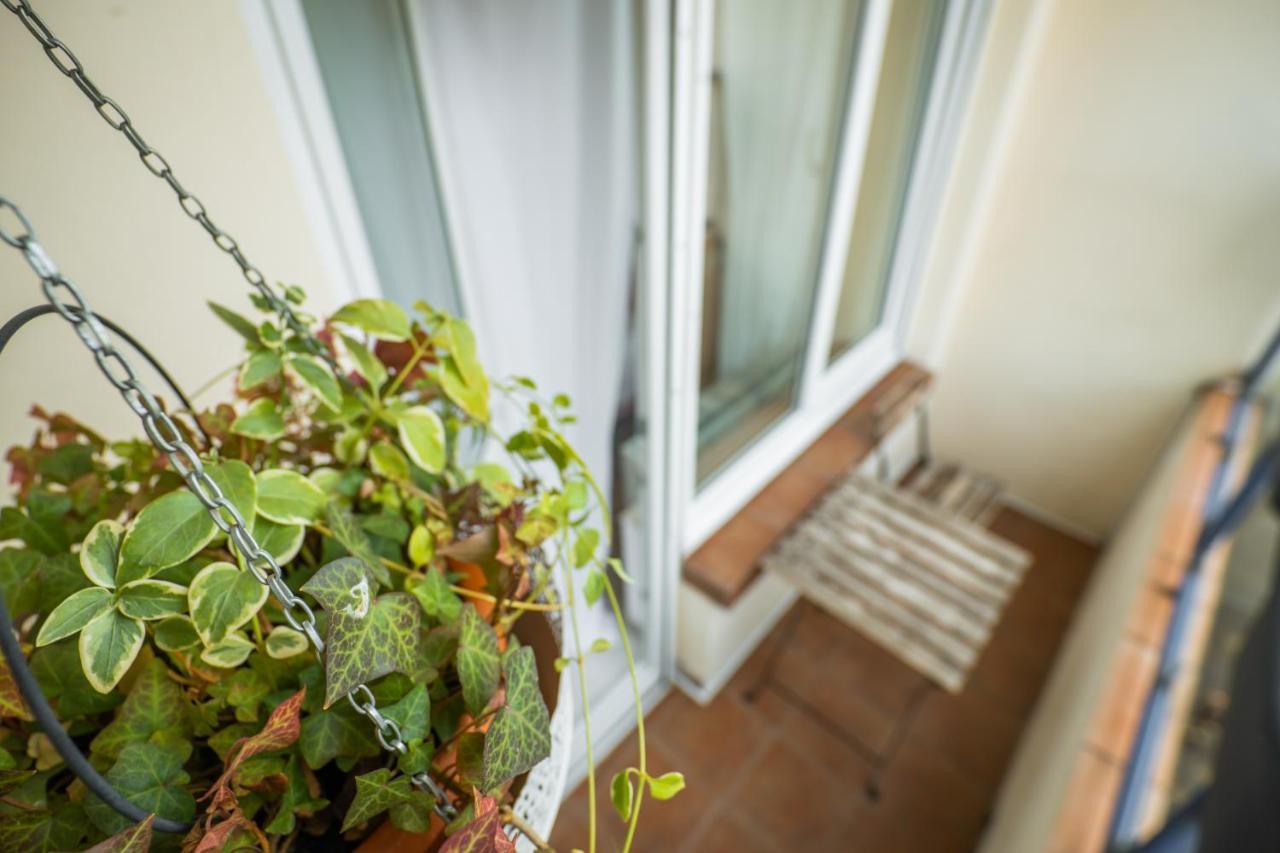 Apartament Cozy *